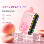 Geekbar Pulse disposable vape